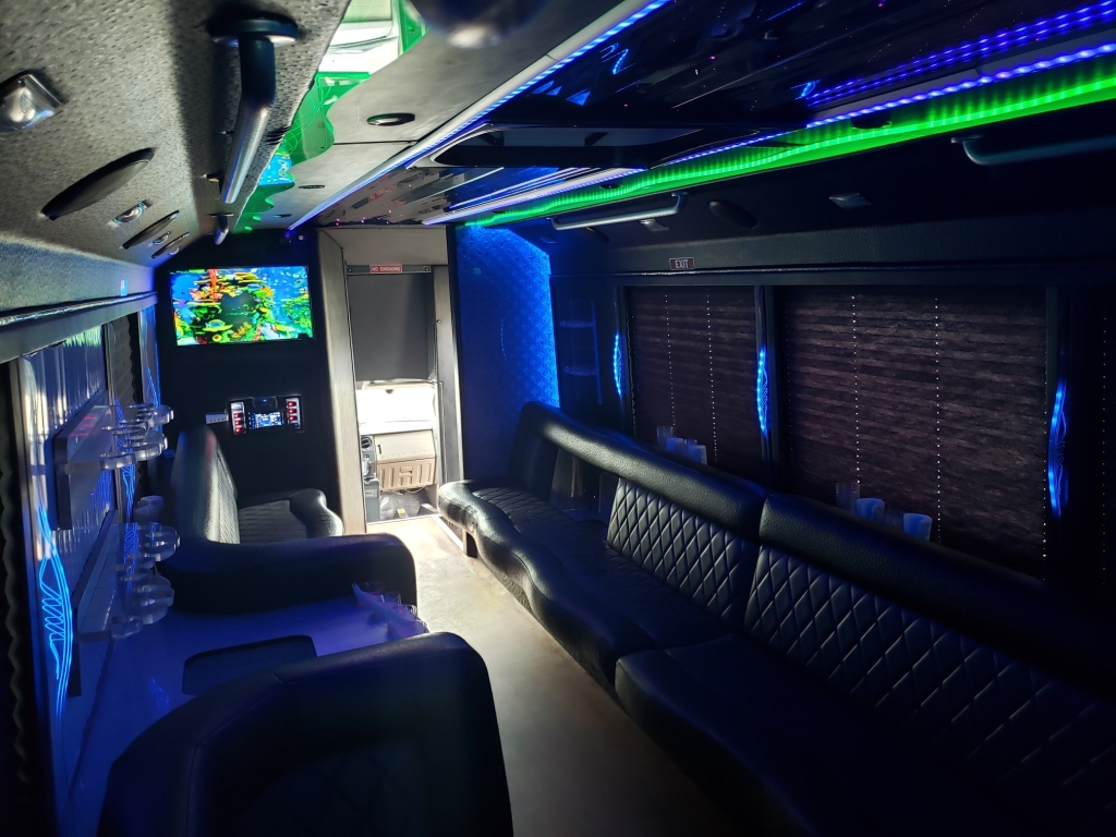 voedsel Competitief Metalen lijn 25 Passenger – Limo Party Bus – Michael's Limousines & Transportation  Services